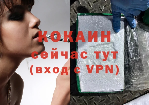 тгк Алзамай
