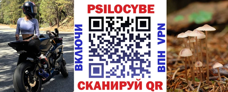 где купить   Енисейск  Галлюциногенные грибы MAGIC MUSHROOMS 